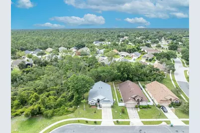 3149 Red Berry Court, Deltona, FL 32725 - Photo 37