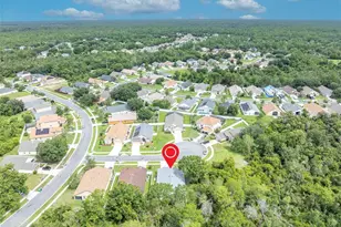 3149 Red Berry Ct, Deltona, FL 32725 - Photo 41