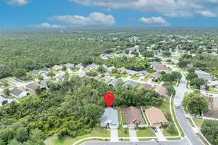 3149 Red Berry Ct, Deltona, FL 32725 - Photo 39