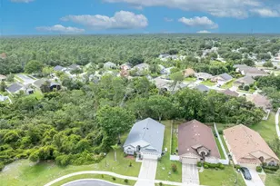 3149 Red Berry Ct, Deltona, FL 32725 - Photo 43