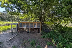123 Amos Rd, Crescent City, FL 32112 - Photo 31