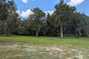 123 Amos Rd, Crescent City, FL 32112 - Photo 33