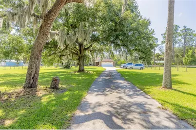 1389 Williams Road, New Smyrna Beach, FL 32168 - Photo 3