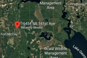 16454 NE 141st Ave, Fort Mc Coy, FL 32134 - Photo 11
