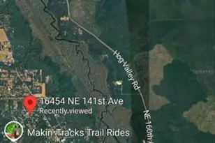 16454 NE 141st Ave, Fort Mc Coy, FL 32134 - Photo 9