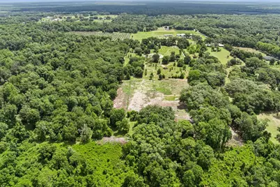 2040 Holly Hammock Road, De Leon Springs, FL 32130 - Photo 13
