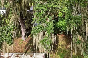 3128 Mango Tree Dr, Edgewater, FL 32141 - Photo 43
