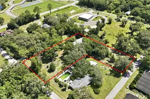 163 E Orange Ave, Pierson, FL 32180 - Photo 49