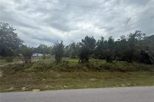 31514 Division St, Deland, FL 32720 - Photo 1