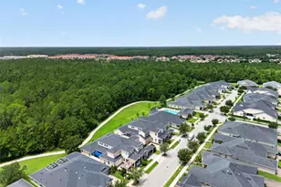 3421 Torre Blvd, New Smyrna Beach, FL 32168 - Photo 61