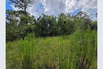 4863 Meadow Green Road, Mims, FL 32754 - Photo 11