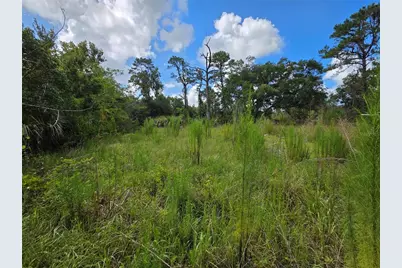 4863 Meadow Green Road, Mims, FL 32754 - Photo 7