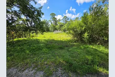 4863 Meadow Green Road, Mims, FL 32754 - Photo 13