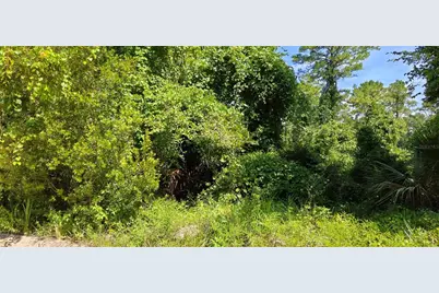 212 N 2nd Avenue, Satsuma, FL 32189 - Photo 3