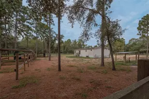8719 N Presnell Terrace, Dunnellon, FL 34433 - Photo 23
