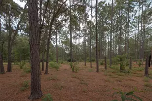 8719 N Presnell Terrace, Dunnellon, FL 34433 - Photo 27