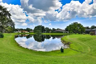 6070 Sabal Creek Blvd, Port Orange, FL 32128 - Photo 21