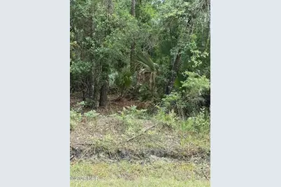 00 Ninemile Point Road, Pierson, FL 32180 - Photo 3
