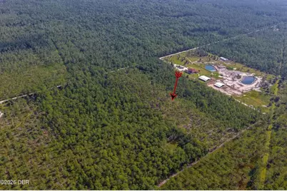 00 Ninemile Point Road, Pierson, FL 32180 - Photo 5