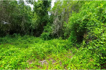 3596 W Ivy Street, Dunnellon, FL 34433 - Photo 49