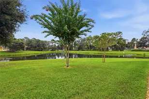 253 Old Moss Cir, Deland, FL 32724 - Photo 33