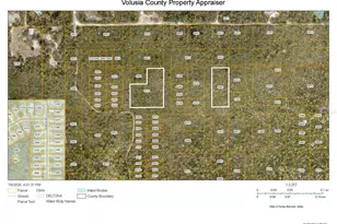 Joyce (Paper) St, Lake Helen, FL 32744 - Photo 1