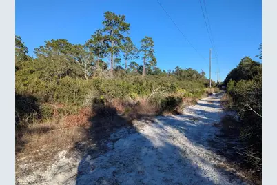 Nelson Avenue, Orange City, FL 32763 - Photo 5