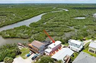 881 Catfish Ave, New Smyrna Beach, FL 32169 - Photo 47