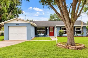 503 Dorothy Cir, Eustis, FL 32726 - Photo 1
