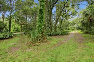 1925 Lady Bug Ln, Deland, FL 32720 - Photo 63