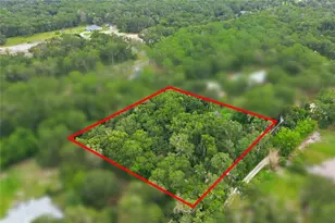 1925 Lady Bug Ln, Deland, FL 32720 - Photo 67