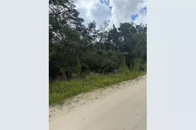 St Claire Lake Drive, Deland, FL 32720 - Photo 5