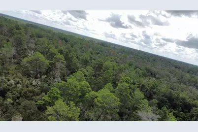 St Claire Lake Drive, Deland, FL 32720 - Photo 9