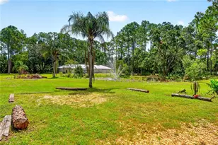590 Co Rd 325, Bunnell, FL 32110 - Photo 7