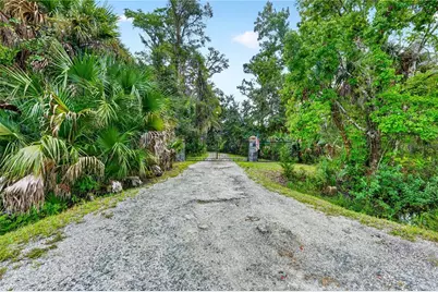 590 County Road 325, Bunnell, FL 32110 - Photo 3