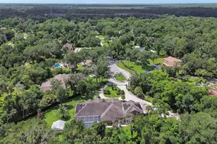 6241 Palomino Cir, Port Orange, FL 32127 - Photo 63