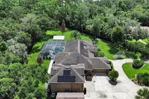 6241 Palomino Cir, Port Orange, FL 32127 - Photo 59