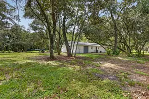 300 Scott Rd, Geneva, FL 32732 - Photo 79