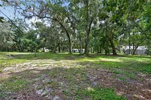 300 Scott Rd, Geneva, FL 32732 - Photo 61