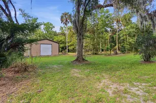 2050 Minorca Rd, New Smyrna Beach, FL 32168 - Photo 13