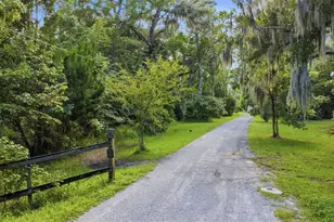 2050 Minorca Rd, New Smyrna Beach, FL 32168 - Photo 17