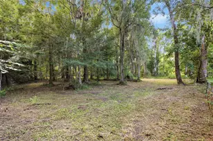 2050 Minorca Rd, New Smyrna Beach, FL 32168 - Photo 9