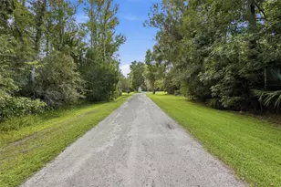 2050 Minorca Rd, New Smyrna Beach, FL 32168 - Photo 11