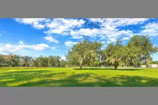 3840 Willow Ave, Deland, FL 32720 - Photo 91