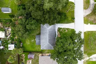 2518 Needle Palm Dr, Edgewater, FL 32141 - Photo 13