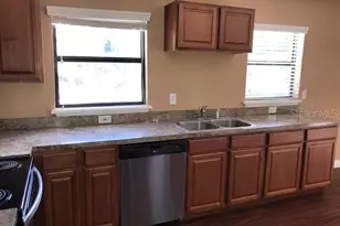 437 E Oakwood Ave, Orange City, FL 32763 - Photo 3