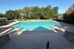 30238 Tokara Terrace, Mount Dora, FL 32757 - Photo 43