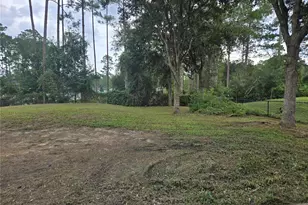 1715 9th Ave, Deland, FL 32724 - Photo 15