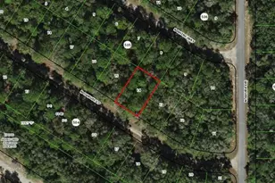 9143 N Danube Loop, Citrus Springs, FL 34434 - Photo 1