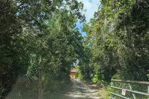 348 Mitnik Dr, Deltona, FL 32738 - Photo 3